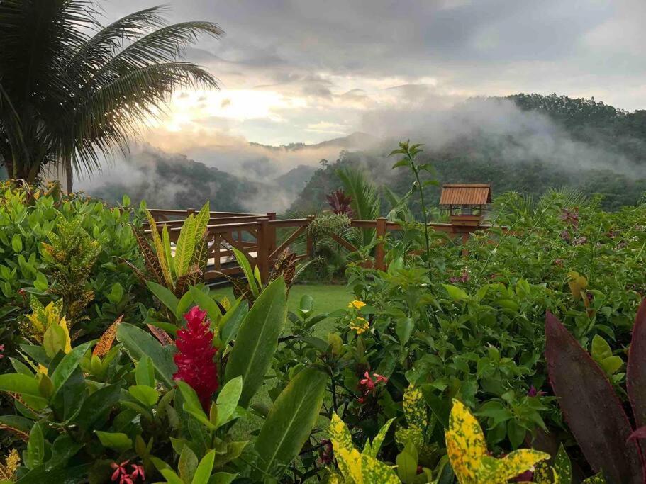 Casa nas montanhas com piscina e vista panorâmica Domingos Martins Exterior foto